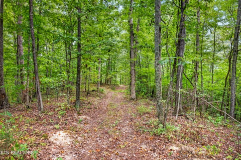 Tiny photo for 27 Timber Ridge Lane, Celina, TN 38551 (MLS # 1357275)
