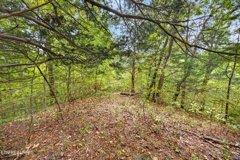 Tiny photo for 27 Timber Ridge Lane, Celina, TN 38551 (MLS # 1357275)
