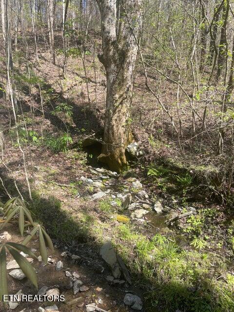 Photo of 1 Old Furnace Rd, Tellico Plains, TN 37385 (MLS # 1344786)