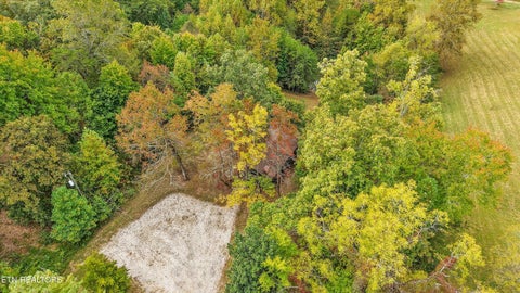 Tiny photo for 225 Pleasant View Loop, Clinton, TN 37716 (MLS # 1359509)