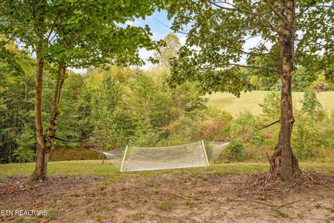 Tiny photo for 225 Pleasant View Loop, Clinton, TN 37716 (MLS # 1359509)