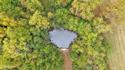 Tiny photo for 225 Pleasant View Loop, Clinton, TN 37716 (MLS # 1359509)