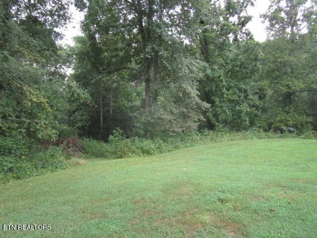 Photo of 391 Smokey Rd, Rutledge, TN 37861 (MLS # 1310071)
