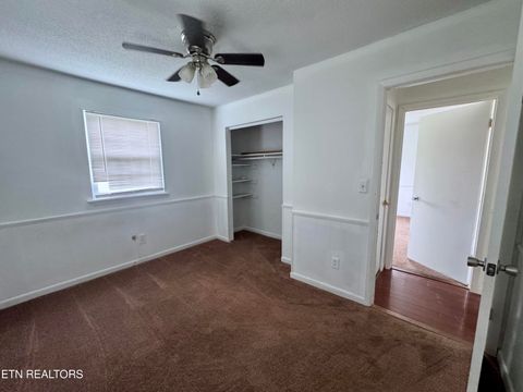 Tiny photo for 191 Bradley St, Evensville, TN 37332 (MLS # 1317396)
