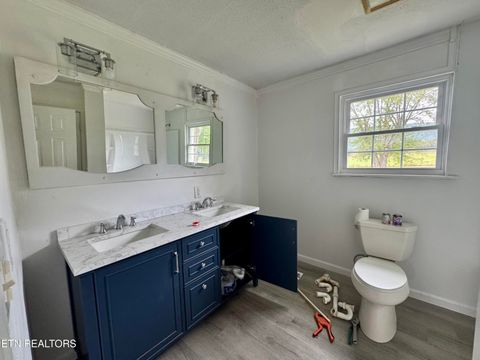 Tiny photo for 191 Bradley St, Evensville, TN 37332 (MLS # 1317396)