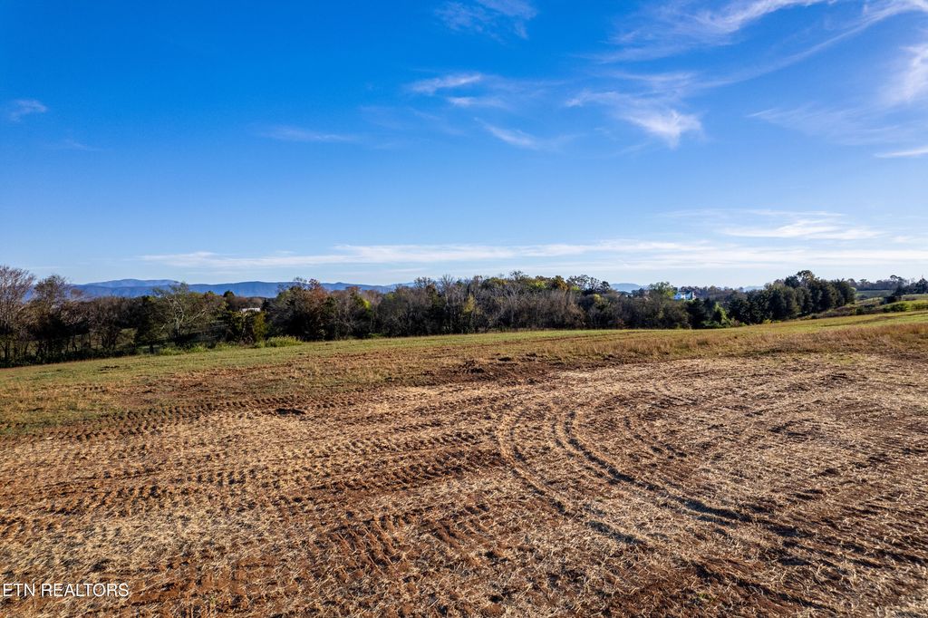 Photo of 363 Meadow Rd, Greenback, TN 37742 (MLS # 1284175)