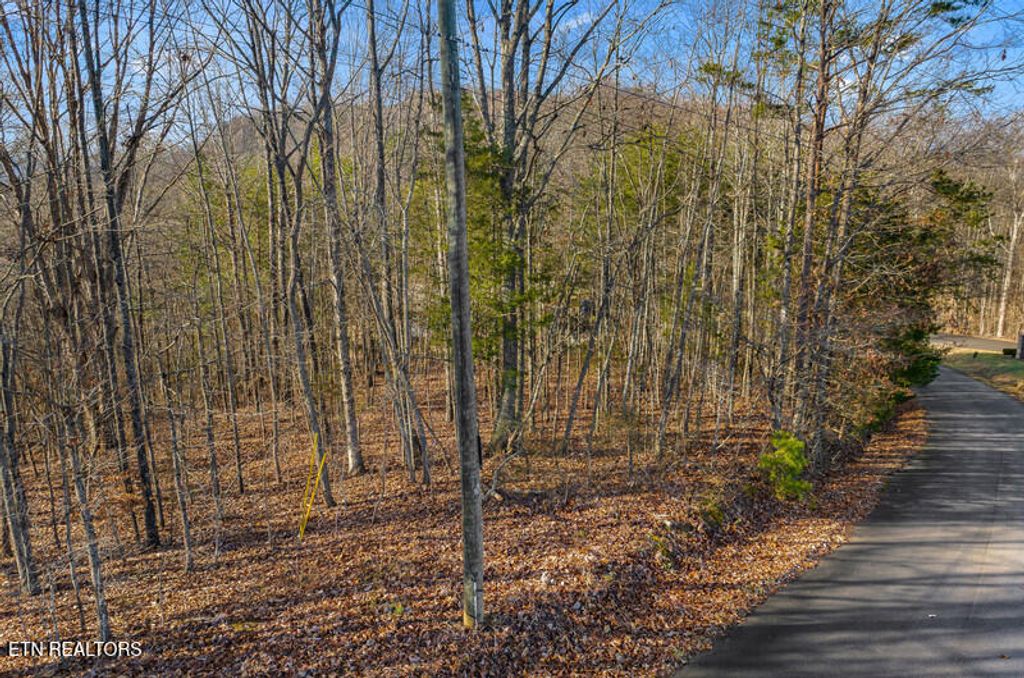 Photo of Overton Rd Lot 18/19, Maynardville, TN 37807 (MLS # 1328158)