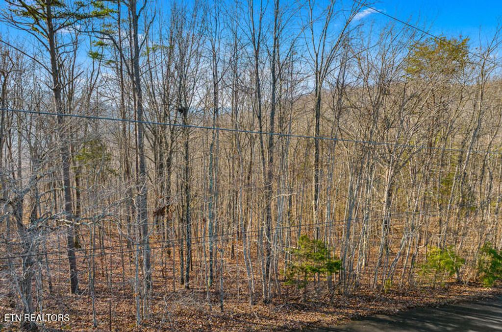 Photo of Overton Rd Lot 18/19, Maynardville, TN 37807 (MLS # 1328158)