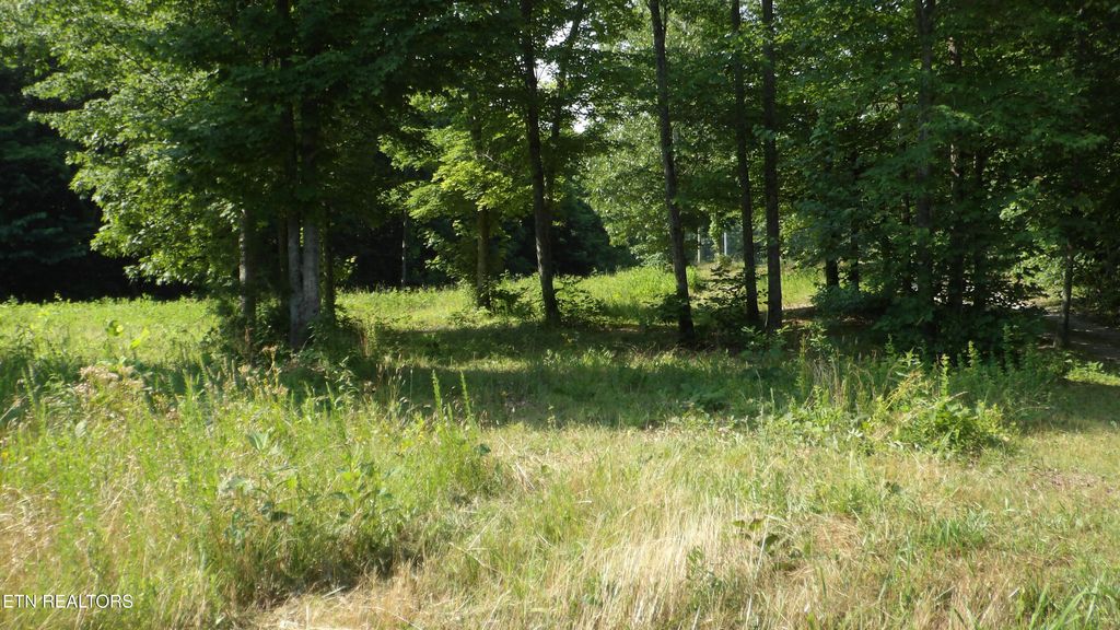Photo of 1387 Pleasant Cemetery Lane, Gainesboro, TN 38562 (MLS # 1323738)