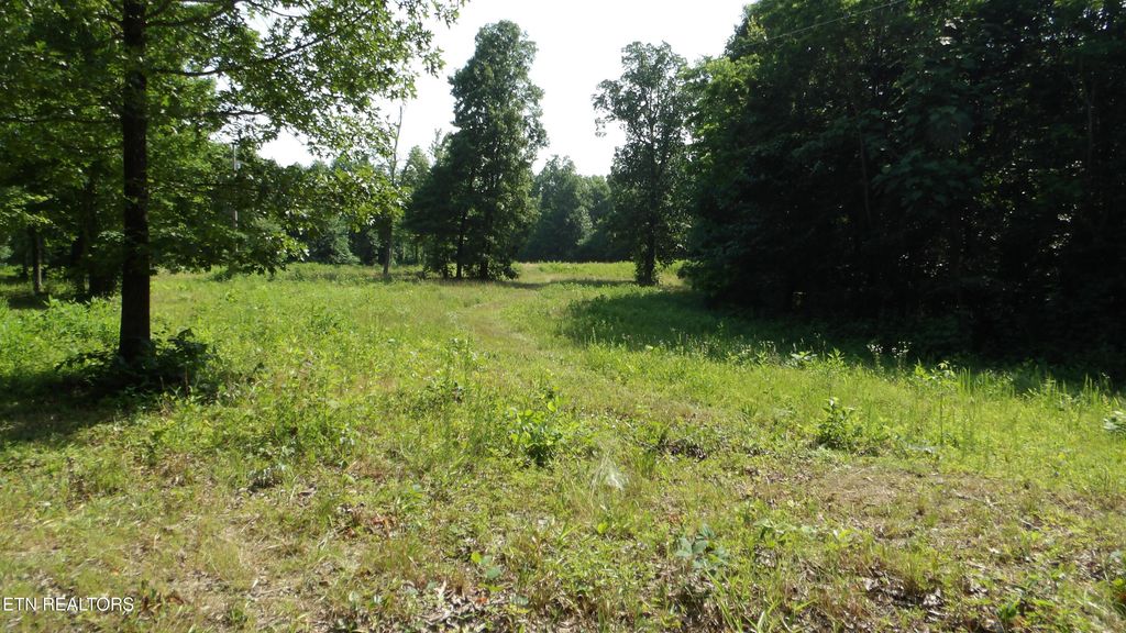 Photo of 1387 Pleasant Cemetery Lane, Gainesboro, TN 38562 (MLS # 1323738)