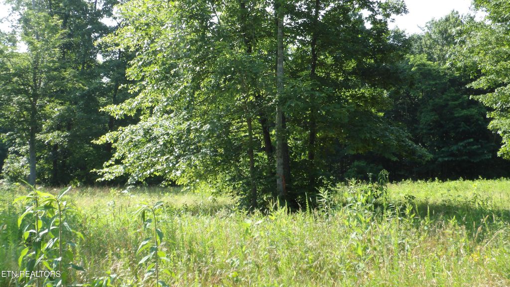 Photo of 1387 Pleasant Cemetery Lane, Gainesboro, TN 38562 (MLS # 1323738)