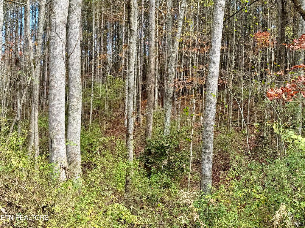 Photo of Lower Rockwood Rd Lot 22, Rockwood, TN 37854 (MLS # 1281358)