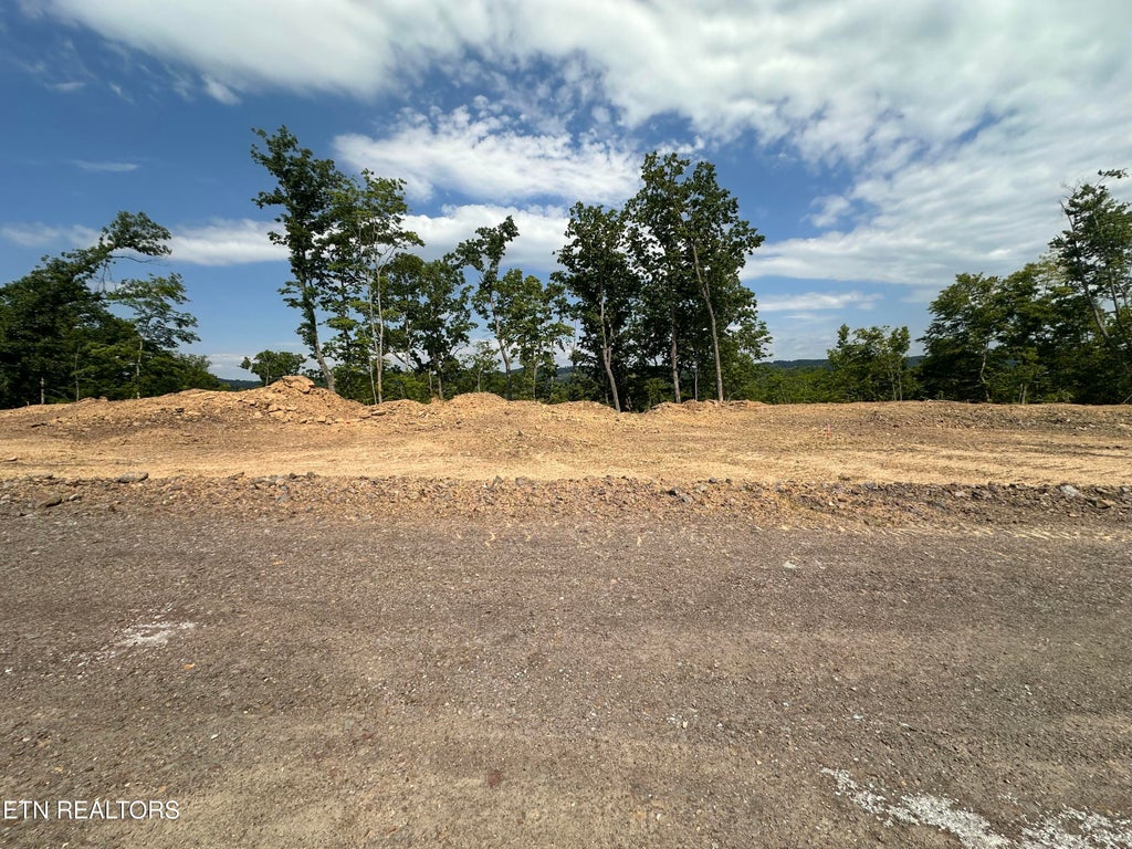 Photo of 11 Sommet Ridge East LN, Tazewell, TN 37879 (MLS # 1342719)