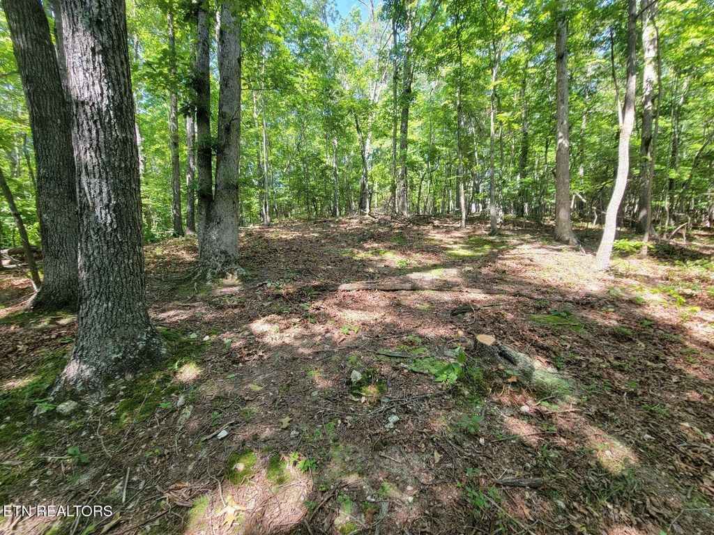 Photo of 6224 Get Good Hollow Rd, Loudon, TN 37774 (MLS # 1327558)