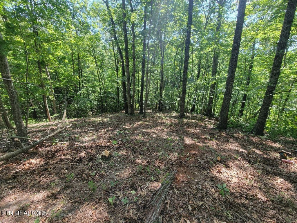 Photo of 6224 Get Good Hollow Rd, Loudon, TN 37774 (MLS # 1327558)