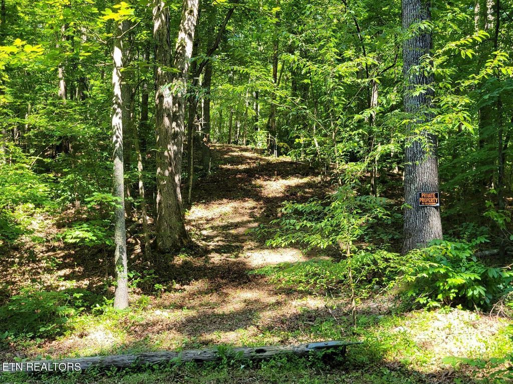 Photo of 6224 Get Good Hollow Rd, Loudon, TN 37774 (MLS # 1327558)