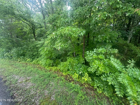 Photo of 302 Elohi Trace, Loudon, TN 37774 (MLS # 1349406)
