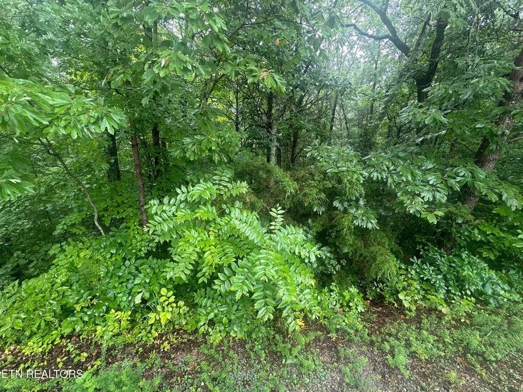 Photo of 302 Elohi Trace, Loudon, TN 37774 (MLS # 1349406)