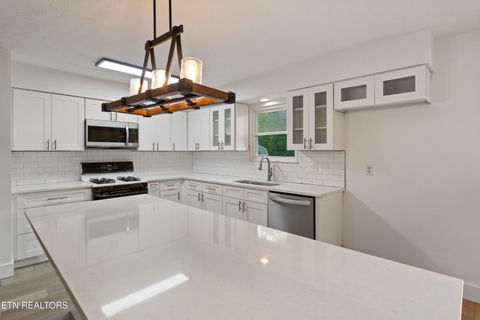 Tiny photo for 521 Overland Tr, Knoxville, TN 37919 (MLS # 1349297)