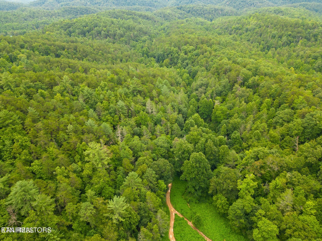 Photo of Azalea Tr, Sevierville, TN 37876 (MLS # 1345090)