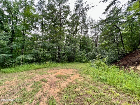 Photo of Azalea Tr, Sevierville, TN 37876 (MLS # 1345090)