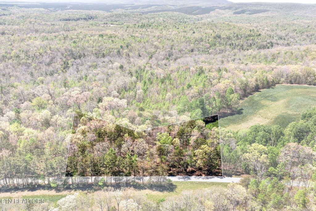 Photo of 4 Smith Mountain Rd, Rockwood, TN 37854 (MLS # 1337626)