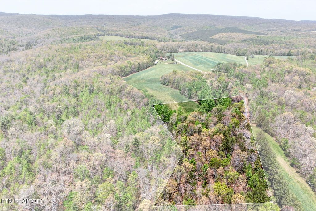 Photo of 4 Smith Mountain Rd, Rockwood, TN 37854 (MLS # 1337626)