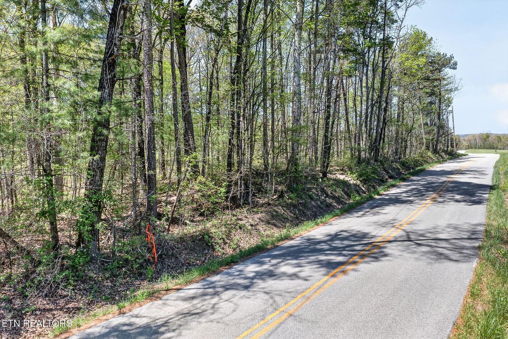 Photo of 4 Smith Mountain Rd, Rockwood, TN 37854 (MLS # 1337626)