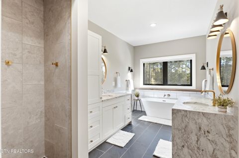 Tiny photo for 136 Wilderness Drive, Vonore, TN 37885 (MLS # 1336404)