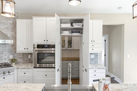 Tiny photo for 136 Wilderness Drive, Vonore, TN 37885 (MLS # 1336404)