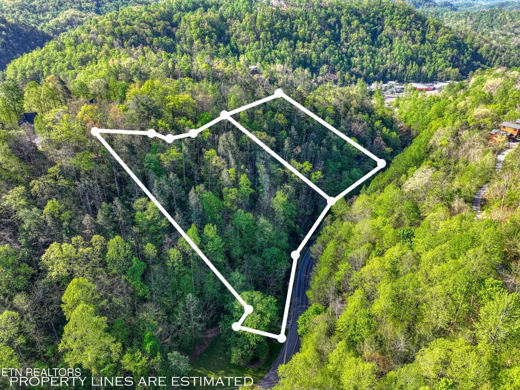 Photo of Cartertown Rd, Gatlinburg, TN 37738 (MLS # 1337524)