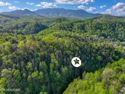 Tiny photo for Cartertown Rd, Gatlinburg, TN 37738 (MLS # 1337524)