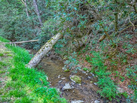 Tiny photo for Cartertown Rd, Gatlinburg, TN 37738 (MLS # 1337524)
