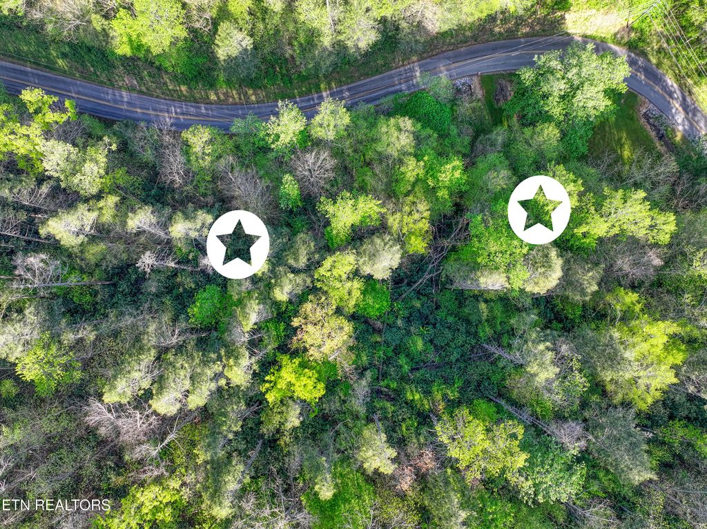 Photo of Cartertown Rd, Gatlinburg, TN 37738 (MLS # 1337524)