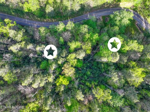 Tiny photo for Cartertown Rd, Gatlinburg, TN 37738 (MLS # 1337524)