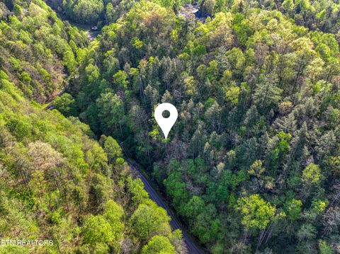 Tiny photo for Cartertown Rd, Gatlinburg, TN 37738 (MLS # 1337524)