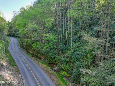 Tiny photo for Cartertown Rd, Gatlinburg, TN 37738 (MLS # 1337524)