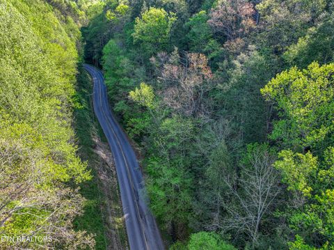 Tiny photo for Cartertown Rd, Gatlinburg, TN 37738 (MLS # 1337524)