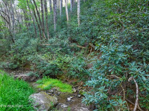 Tiny photo for Cartertown Rd, Gatlinburg, TN 37738 (MLS # 1337524)