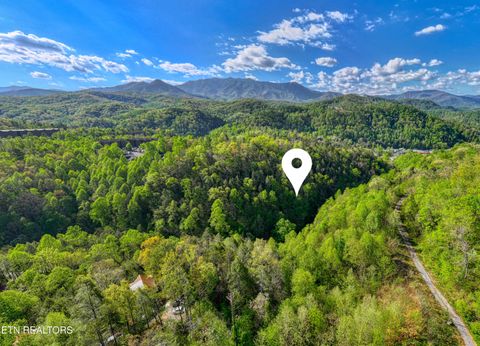 Tiny photo for Cartertown Rd, Gatlinburg, TN 37738 (MLS # 1337524)