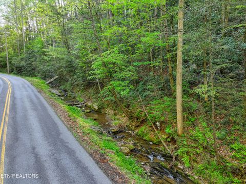 Tiny photo for Cartertown Rd, Gatlinburg, TN 37738 (MLS # 1337524)