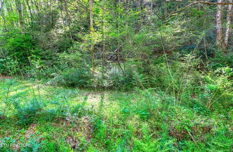 Tiny photo for Cartertown Rd, Gatlinburg, TN 37738 (MLS # 1337524)