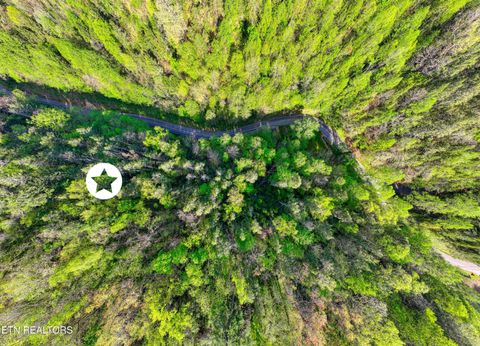 Tiny photo for Cartertown Rd, Gatlinburg, TN 37738 (MLS # 1337524)