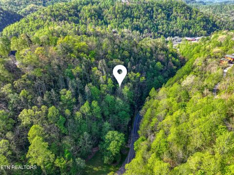Tiny photo for Cartertown Rd, Gatlinburg, TN 37738 (MLS # 1337524)