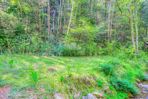Tiny photo for Cartertown Rd, Gatlinburg, TN 37738 (MLS # 1337524)