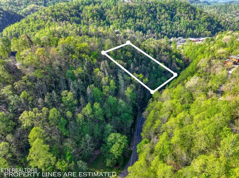Tiny photo for Cartertown Rd, Gatlinburg, TN 37738 (MLS # 1337524)
