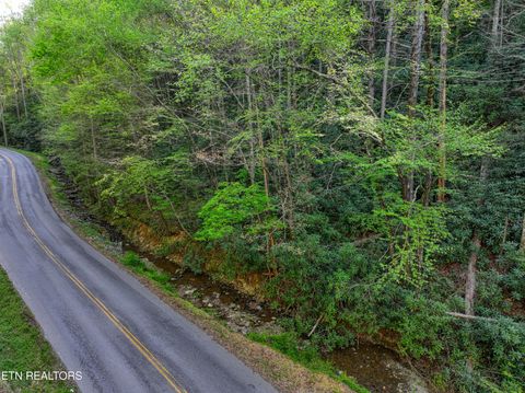 Tiny photo for Cartertown Rd, Gatlinburg, TN 37738 (MLS # 1337524)