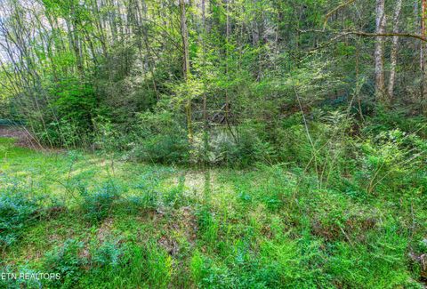 Tiny photo for Cartertown Rd, Gatlinburg, TN 37738 (MLS # 1337524)
