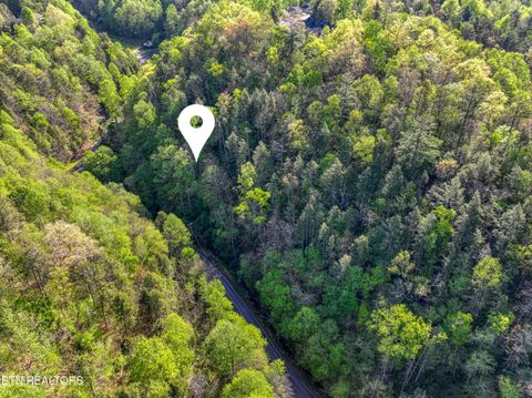 Tiny photo for Cartertown Rd, Gatlinburg, TN 37738 (MLS # 1337524)