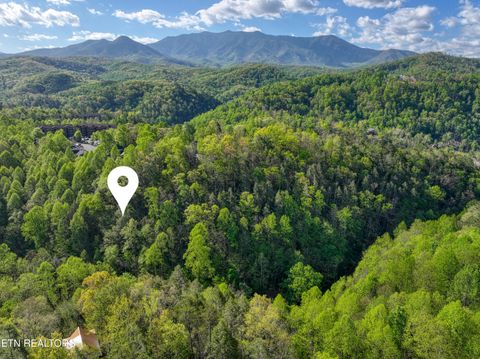 Tiny photo for Cartertown Rd, Gatlinburg, TN 37738 (MLS # 1337524)